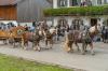 Bild 58