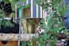 Bild 16